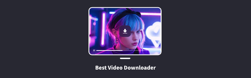 The best video downloader
