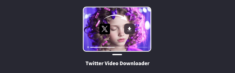 Twitter Video Downloader