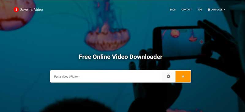 Savethevideo.net video downloader