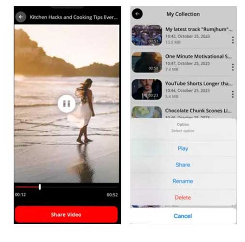 Video Saver : Video Downloader